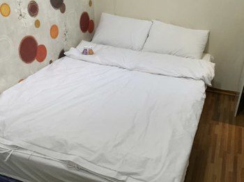 클로이 * 서울특별시